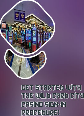 Wild city casino